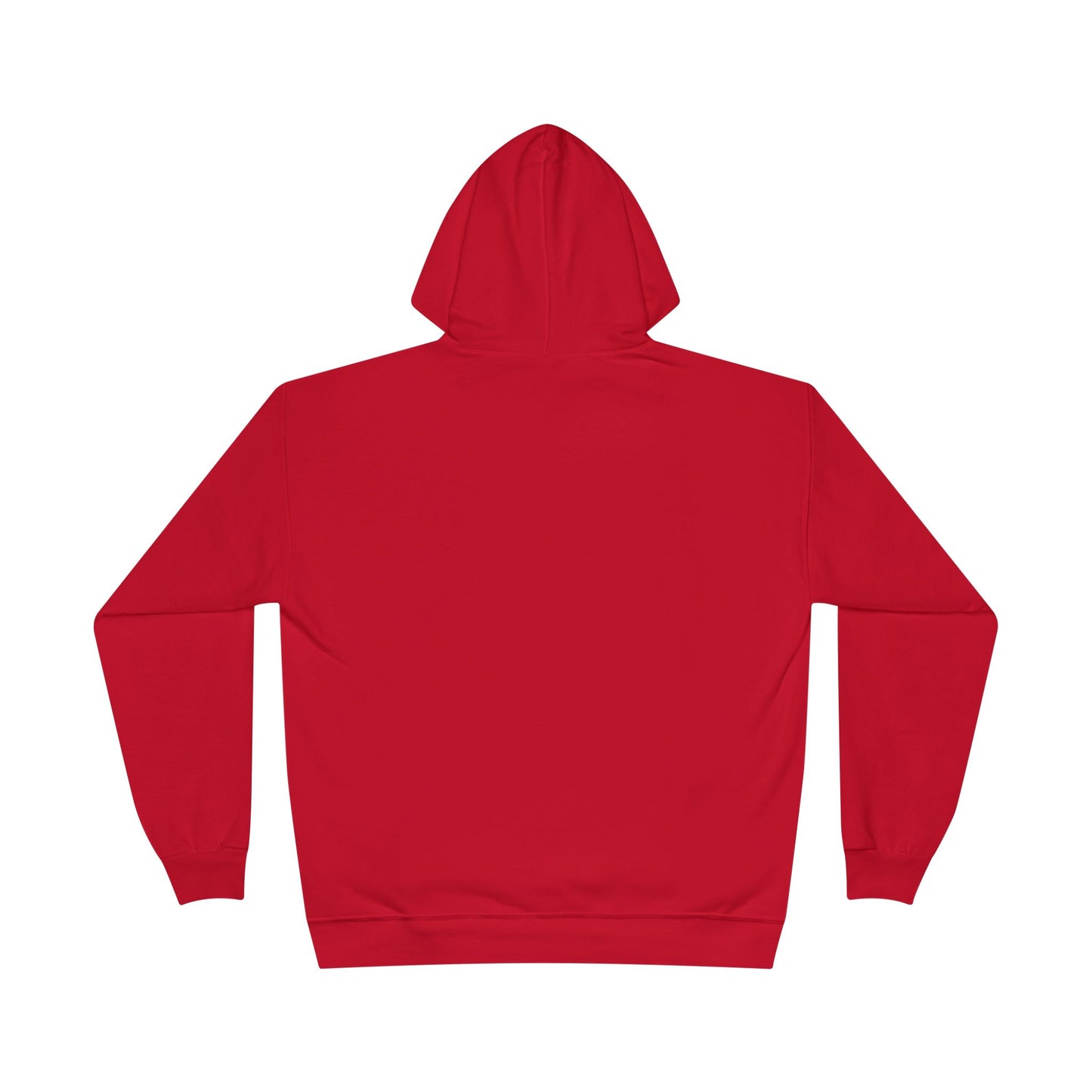 I'm Not Arguing I'm Just Explaining Why I'm Right And You're Wrong Hoodie
