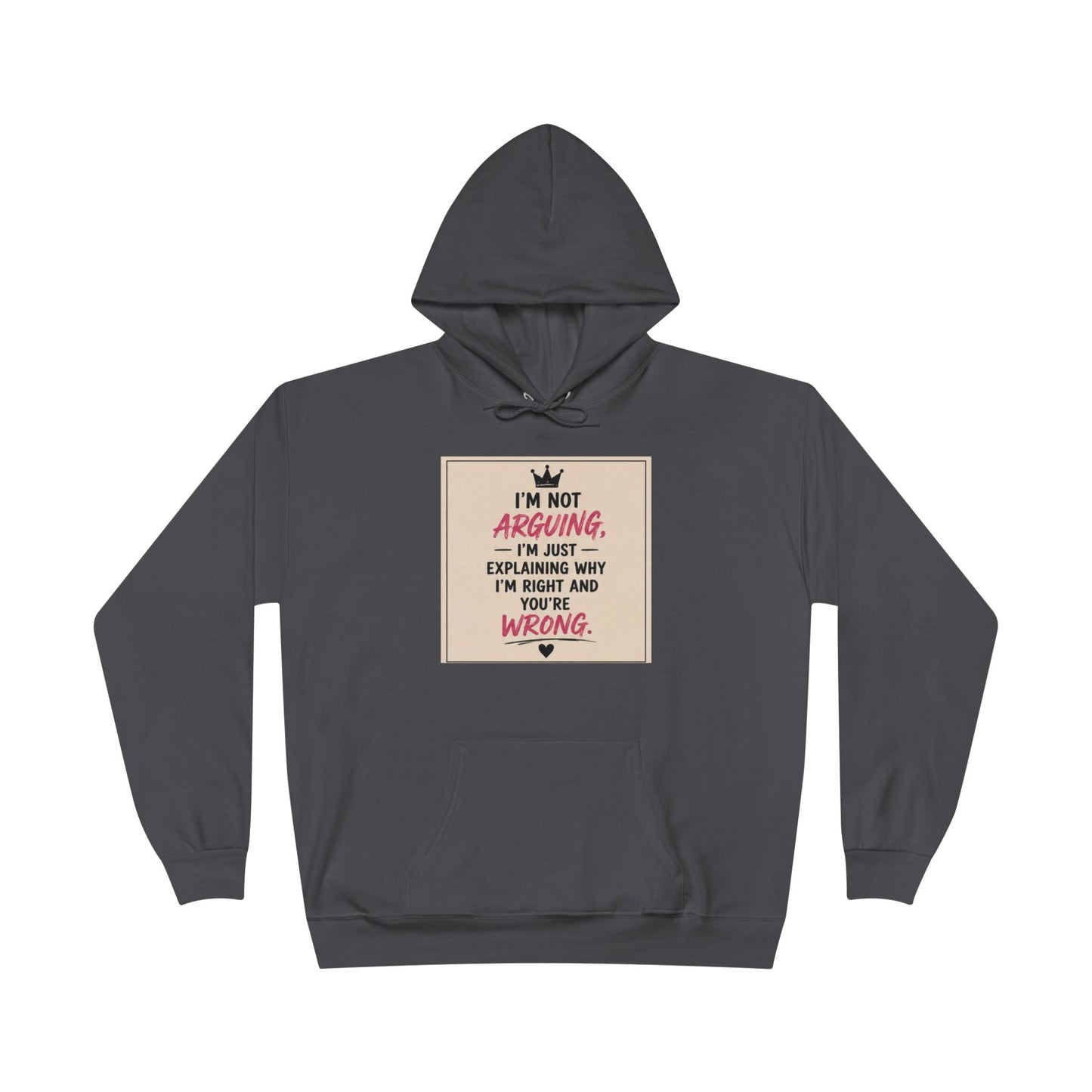 I'm Not Arguing I'm Just Explaining Why I'm Right And You're Wrong Hoodie