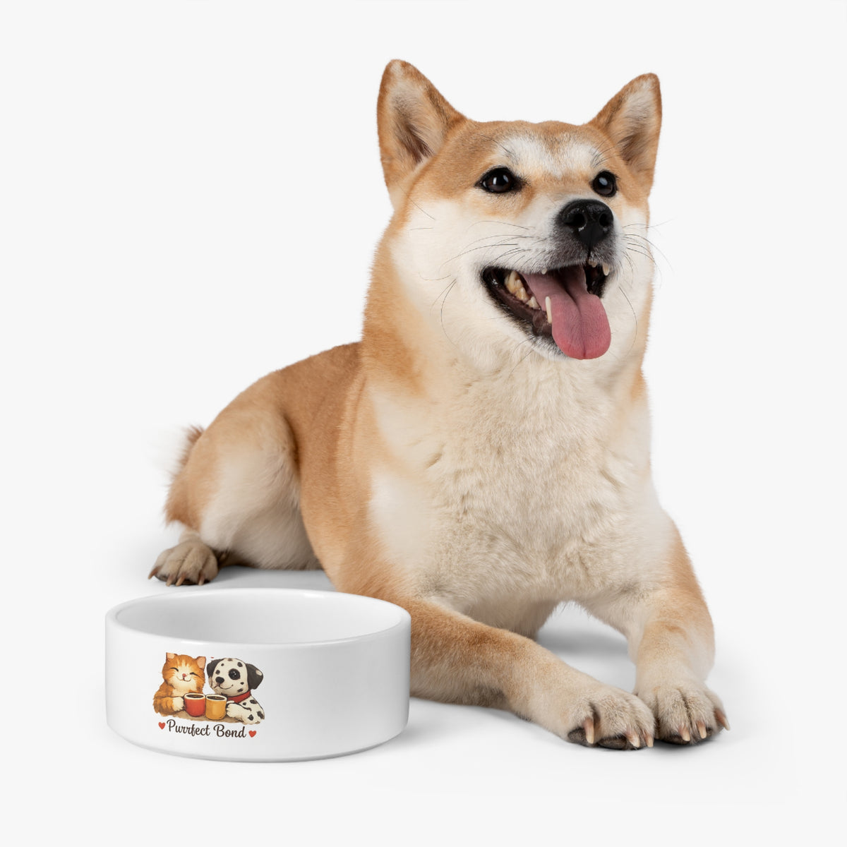Purrfect Bond Pet Bowl