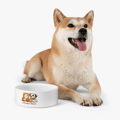 Purrfect Bond Pet Bowl